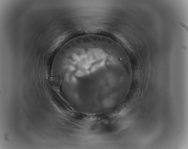 X0000097860687200803141239