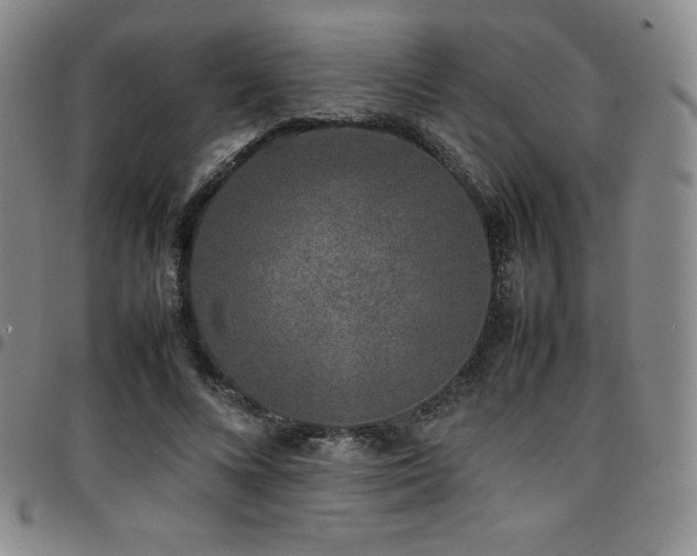 X0000097860688200803141239