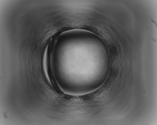 X0000097860689200803141239