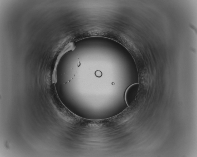 X0000097860690200803141239