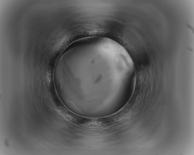 X0000097860691200803141239