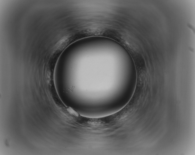 X0000097860693200803141239