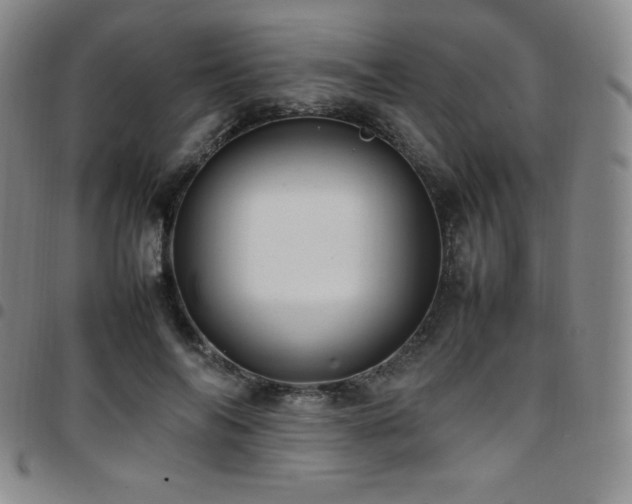 X0000097860694200803141239