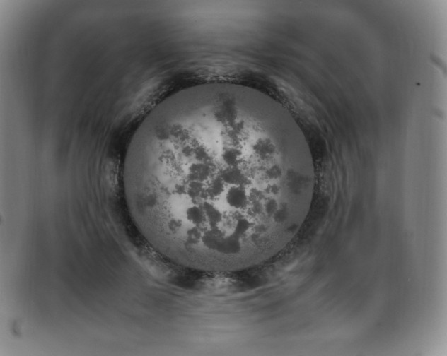 X0000097860695200803141239