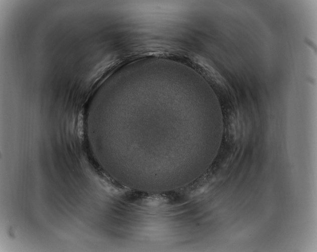 X0000097860696200803141239