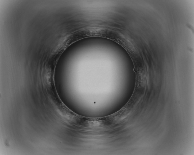 X0000097860698200803141239