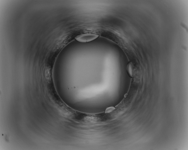 X0000097860699200803141239