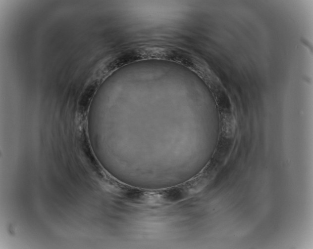 X0000097860701200803141239