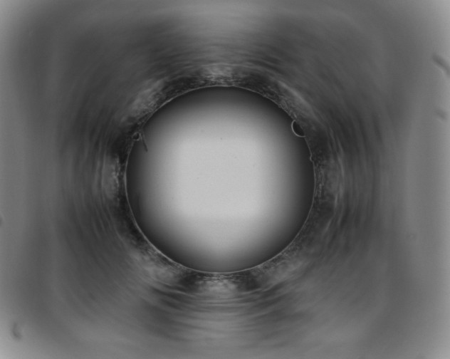 X0000097860702200803141239