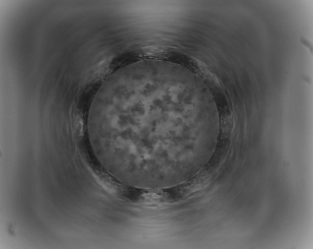 X0000097860703200803141239