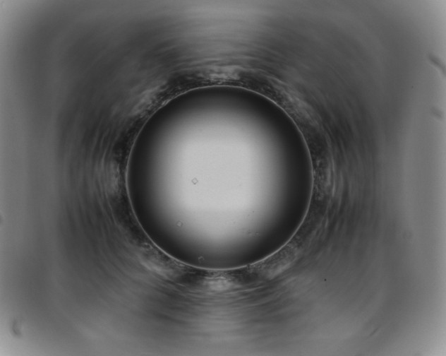 X0000097860704200803141239