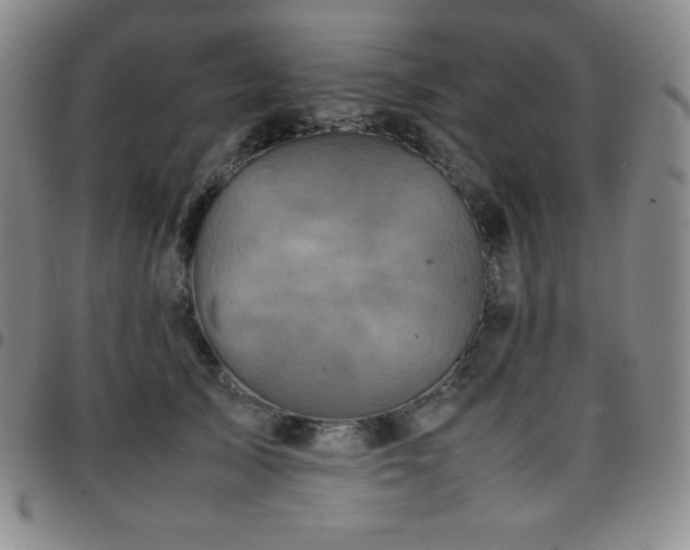 X0000097860705200803141239