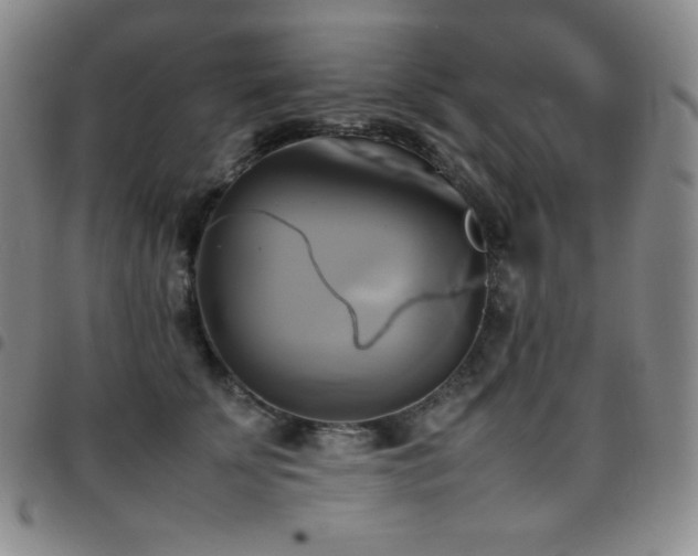 X0000097860707200803141239