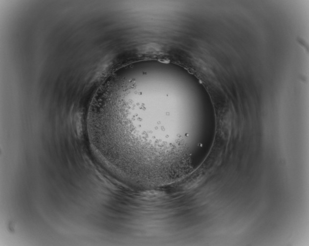 X0000097860708200803141239