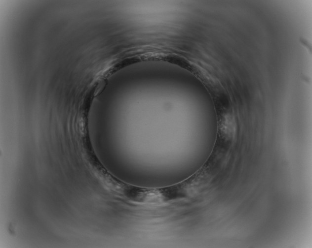 X0000097860715200803141238