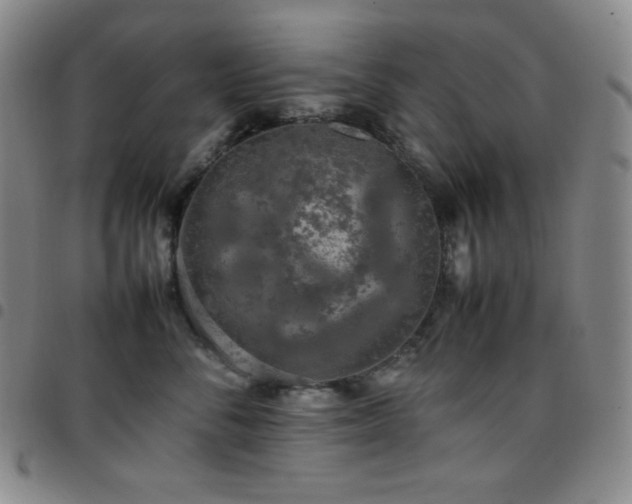 X0000097860716200803141238