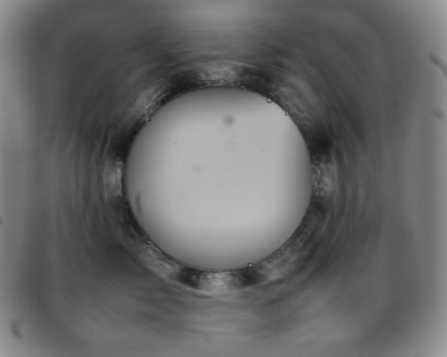 X0000097860717200803141238