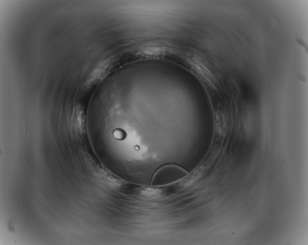 X0000097860718200803141238