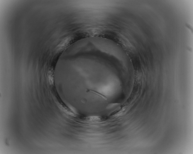 X0000097860719200803141238