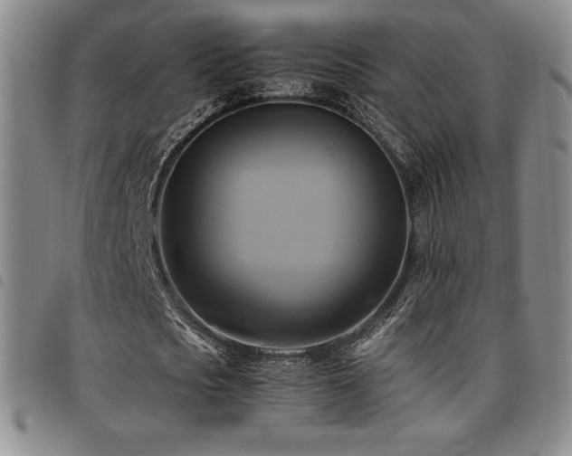 X0000097860721200803141238