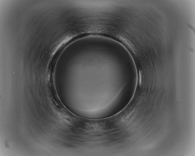 X0000097860723200803141238