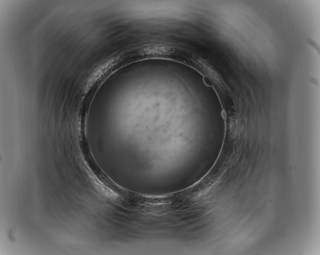 X0000097860725200803141238