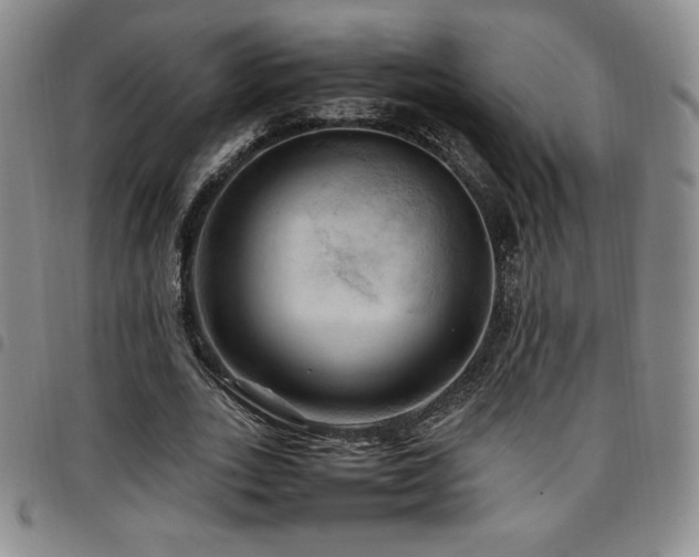 X0000097860727200803141238