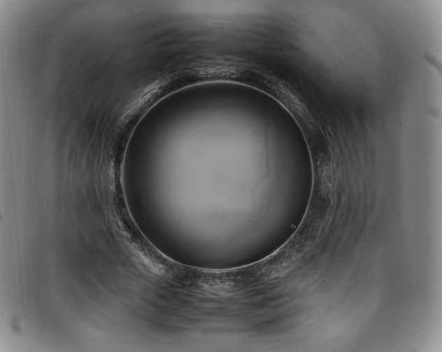 X0000097860729200803141238