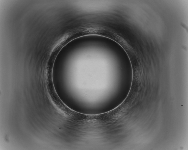 X0000097860730200803141238