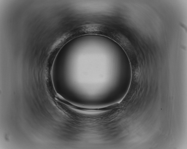 X0000097860732200803141238