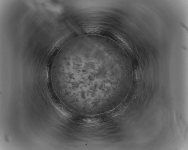 X0000097860733200803141238