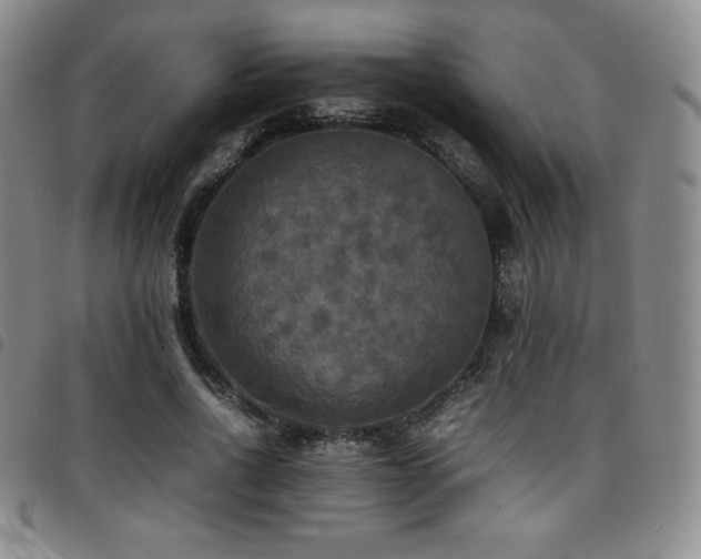 X0000097860734200803141238