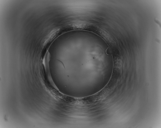 X0000097860738200803141238