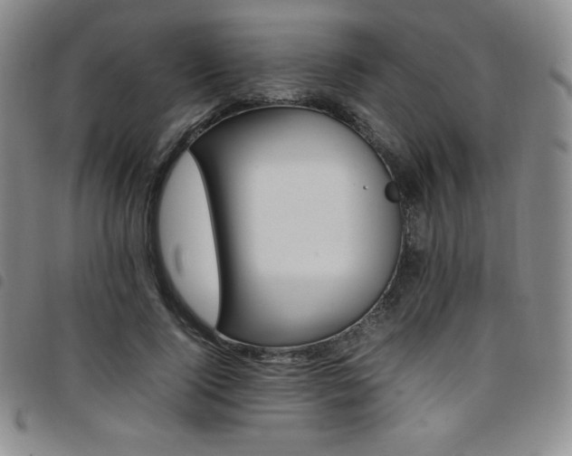 X0000097860740200803141238