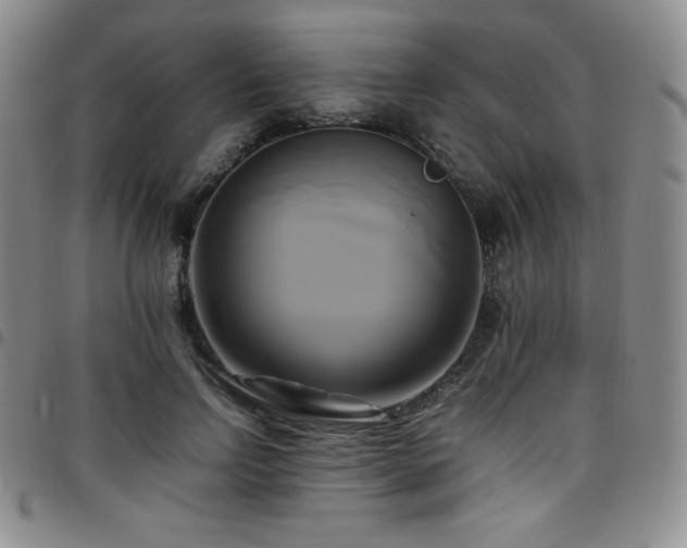 X0000097860742200803141238