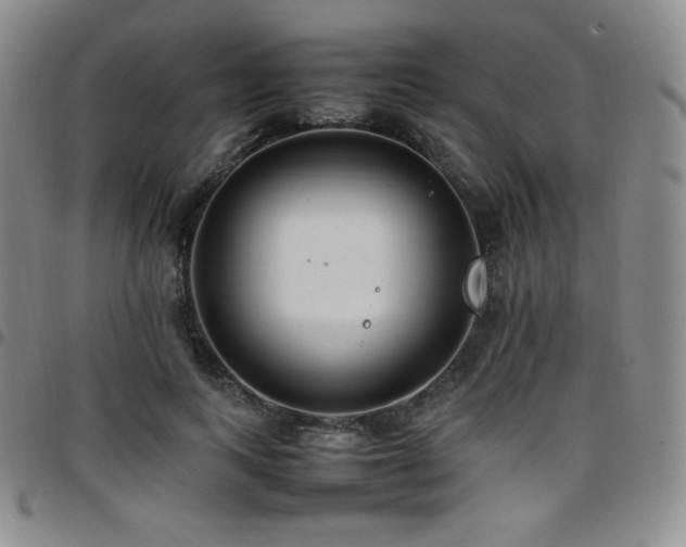 X0000097860743200803141238