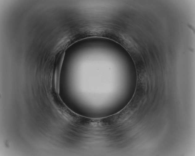 X0000097860744200803141238