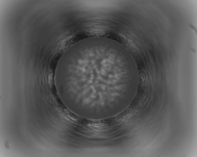 X0000097860745200803141238