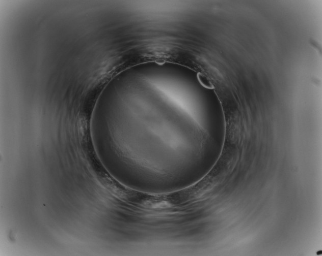 X0000097860747200803141238