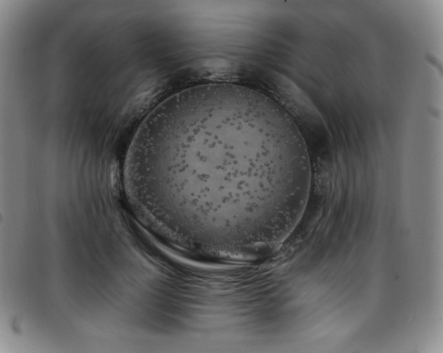 X0000097860748200803141238