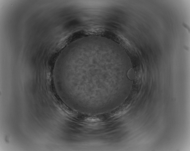 X0000097860749200803141238