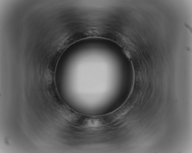 X0000097860751200803141238