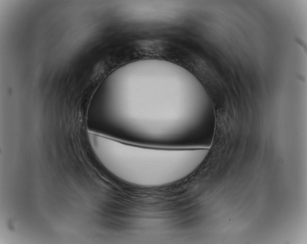 X0000097860752200803141238