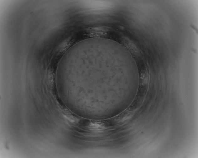 X0000097860753200803141238