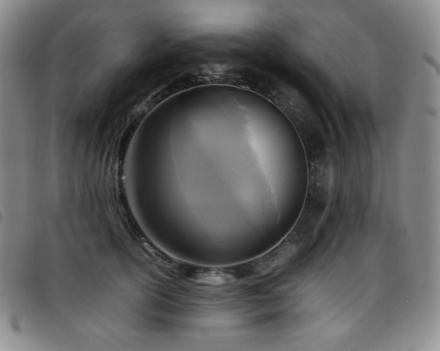 X0000097860754200803141238