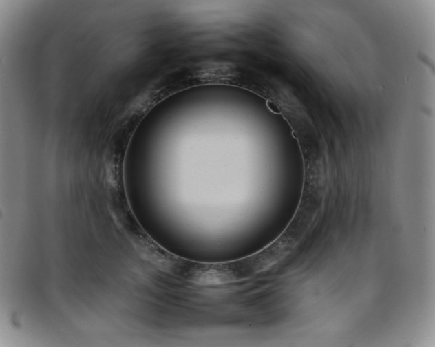 X0000097860755200803141238