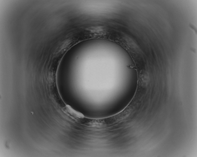 X0000097860756200803141238