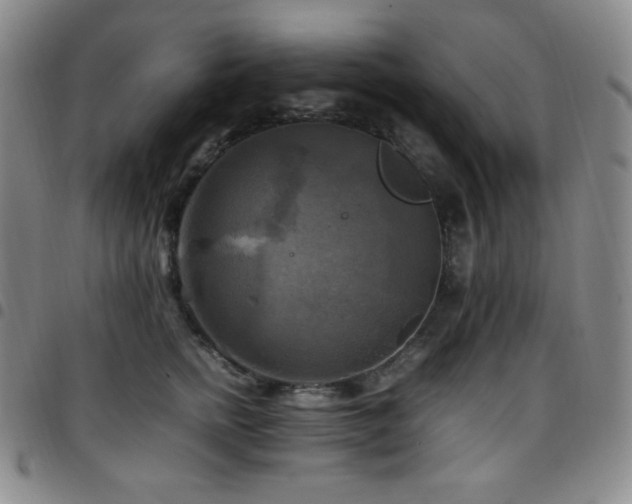 X0000097860758200803141238