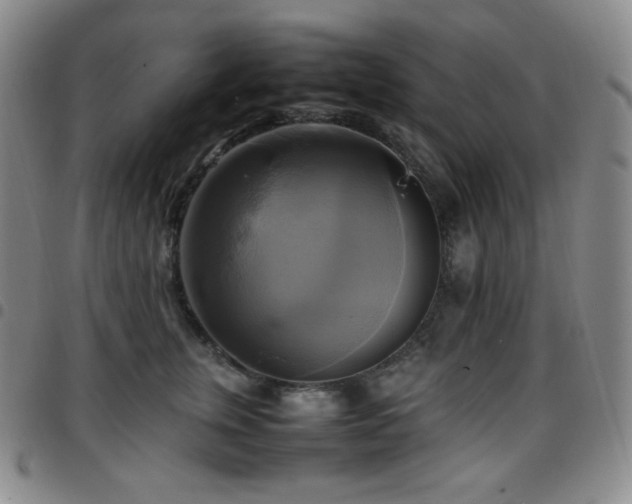 X0000097860759200803141238