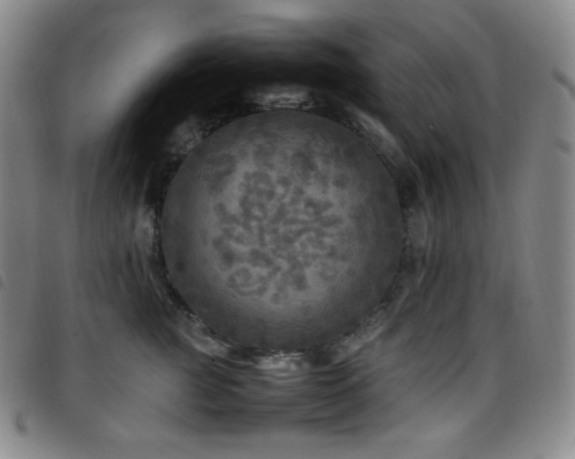 X0000097860761200803141238